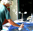 Paint and more